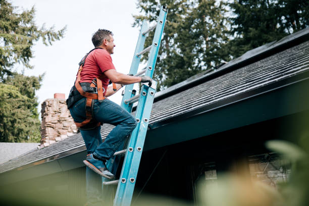 Best Gutter Installation and Repair  in Haleiwa, HI