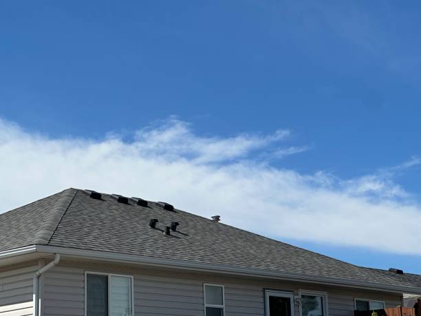 Best Wood Shake Roofing  in Haleiwa, HI